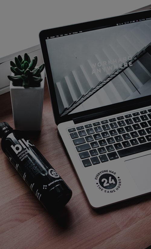 WordPress website